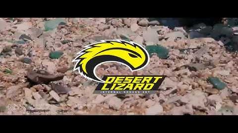 Yeah Racing DDL Desert Lizard Scale RC Damper in Action!