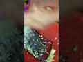 TENDER MANGOES 