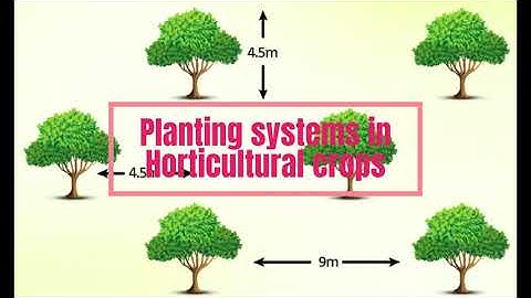 Planting Systems in Horticultural Crops