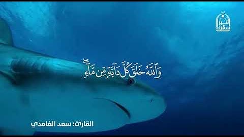 سورة النور  بصوت القارئ سعد الغامدي