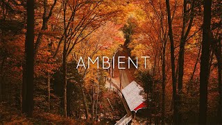 Nature and Lofi | Beautiful Ambient/Lofi Mix.