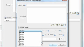 Edit Info hsql - 0000538