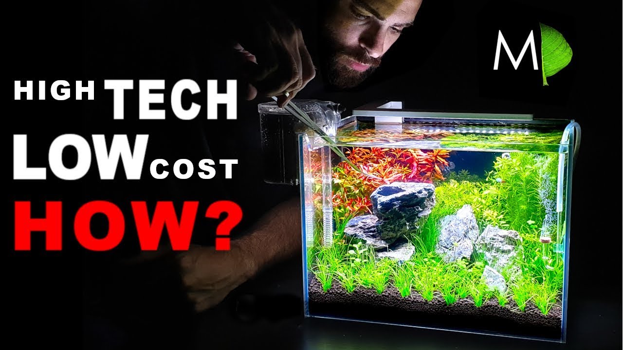 HIGH TECH LOW COST 134 AQUARIUM & Planted AQUASCAPE (HOW TO