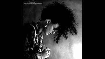 The ExisTence - (New model army - Green and grey Cover)