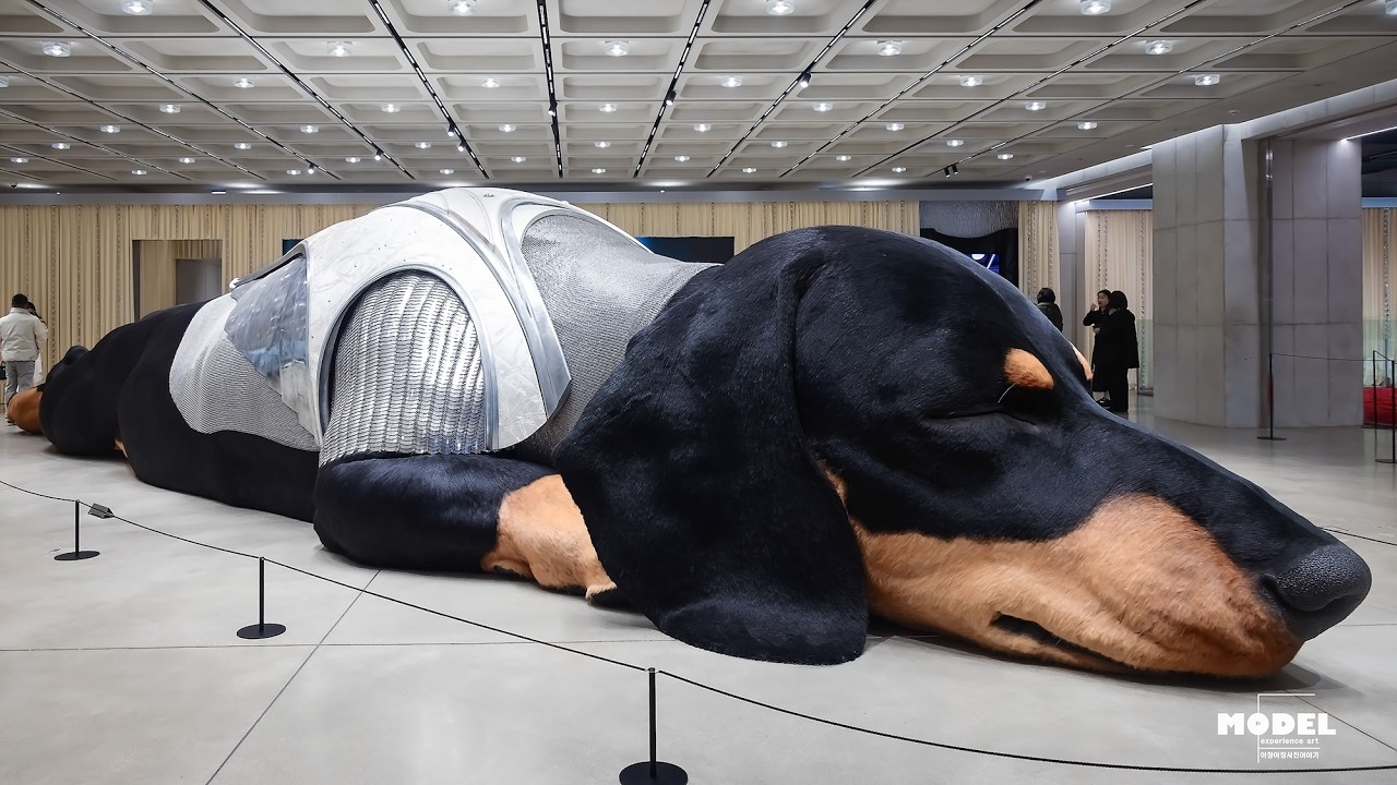 서울숲 & 성수핫플 (2026.02.13) 김호중 감성 트로트 발라드 # 모델공연 동영상#가수음악영상#시니어모델 영상,사진