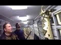 Download When Your 19ft Python Snake Escapes... Brian Barczyk When Your 19ft Python Snake Escapes... Brian Barczyk