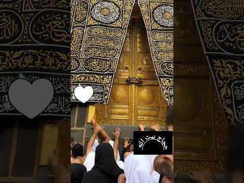 بصوا فرحتهم يارب ارزقنا جميعا عقبال كل مشتاق  اكسبلور 