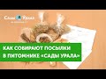 Для тех, кто ждет ПОСЫЛКУ - сбор посылок в Питомнике Сады Урала