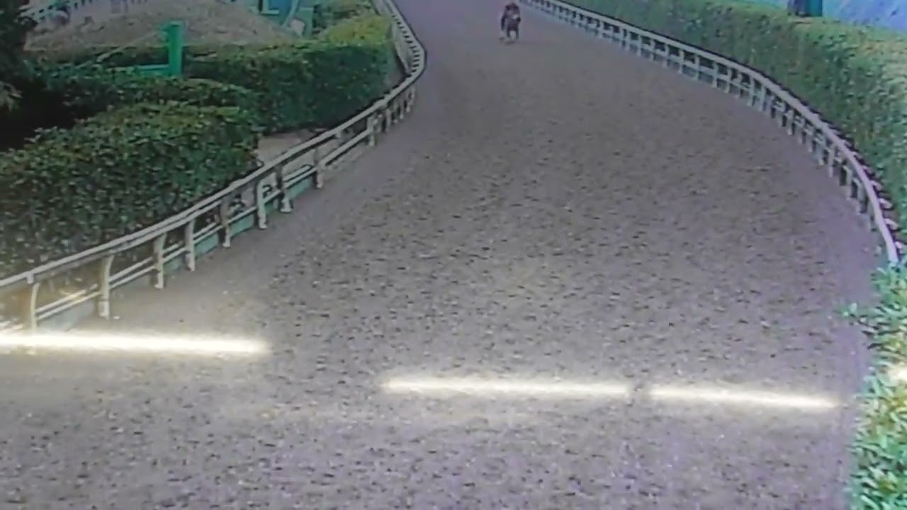 ジャンヌドゥレーヴ260225