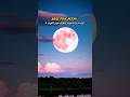 Something rare is coming..! 😱🌕#shorts #space #moon