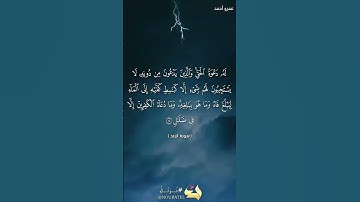 هو الذي يريكم البرق خوفا و طمعا ⚡⛈️ سورة الرعد | عمرو أحمد #اكسبلور #القرآن_الكريم