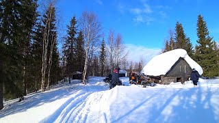 НАШЛИ ИЗБУ ПРАДЕДОВ \ ТАЁЖНЫЙ БЫТ КОМИ НАРОДОВ \  РЫБАЛКА 2019