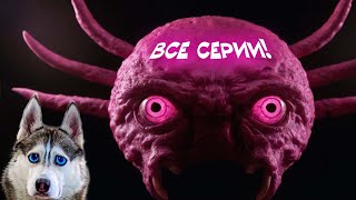 картинка: КИНИТО ПЕТ ЖИВ!! Мы спасли его!! Kinitopet Полный Фильм