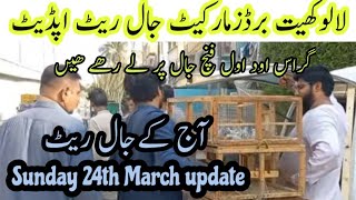 Sunday lalukhet birds market jaal rates update\/24th March 2024 update