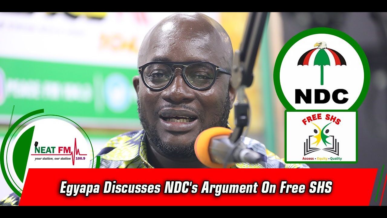 Egyapa Discusses NDC's Argument On Free SHS shatta wale melissa