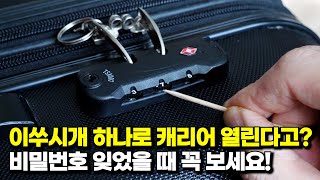 캐리어 비밀번호 푸는법 이쑤시개 하나면 끝! 비번 잊었을 때 간단 해결법