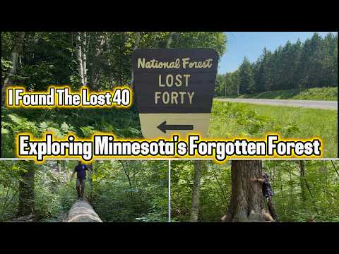 I Found The Lost 40 - Exploring Minnesota's Forgotten Forest