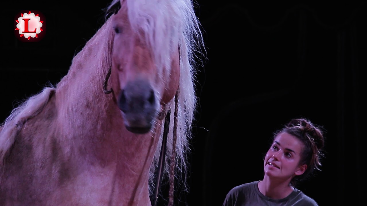 Circus Voyage: Tagesablauf Teil 2