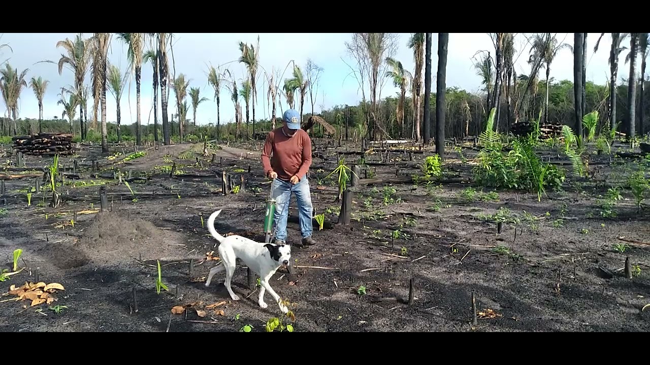 29 de janeiro de 2026