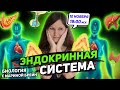 ЭНДОКРИННАЯ СИСТЕМА ЕГЭ