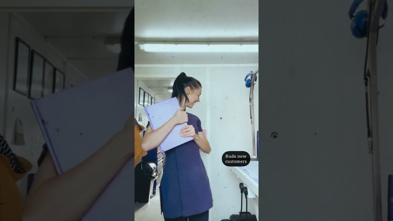 RUDE CUSTOMERS DOG GROOMING YouTube rude-customers-dog-grooming-youtube