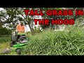 I mowed a SUBSCRIBERS OVERGROWN yard for FREE