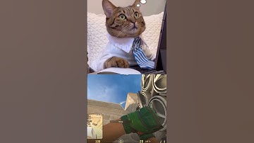 Mirage A site popflash for retake!🔥🐱 #cs2 #csgo