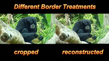 Rotoscoping results with PD Pro 7 Howler - part 1