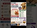 #RabiesAwareness #RabiesPrevention #RabiesFreeIndia#StrayDogs #guntur #andhrapradesh #india #vet