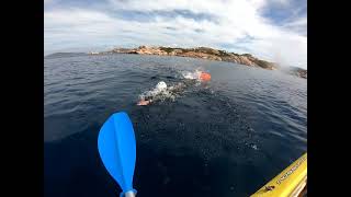 Palau - Isola di Santo Stefano a nuoto