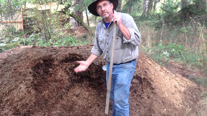 What Are The Stages Of Composting? - DayDayNews