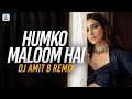 Humko Maloom Hai (Remix) | DJ Amit B | Salman Khan | Preity Zinta | Jaan-E-Mann