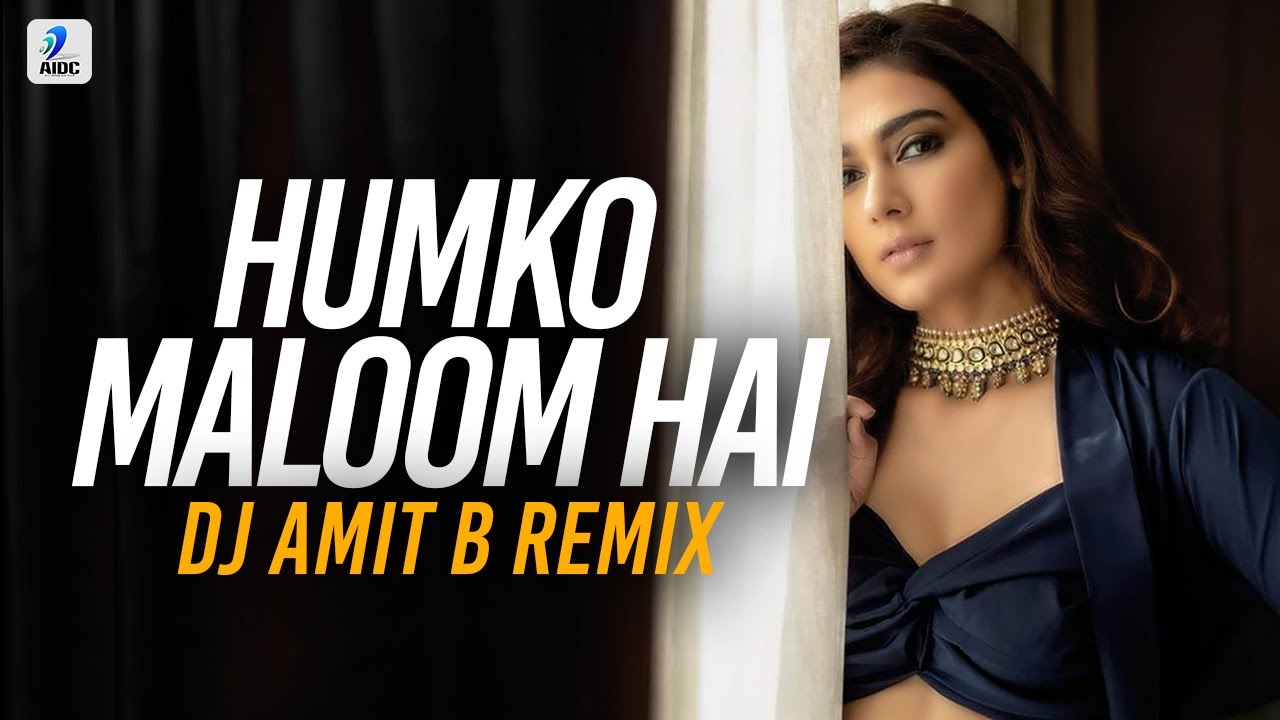 Humko Maloom Hai Remix  DJ Amit B  Salman Khan  Preity Zinta  Jaan E Mann