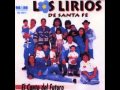 los lirios - a decirme que