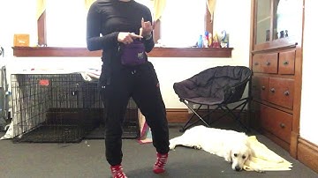 Stimulus Control with sit