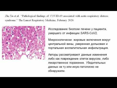 COVID-19: поражение ЖКТ и эндокринных желез