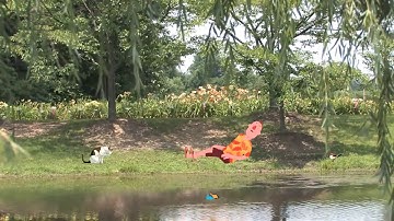 SWF with VIDEO Background in CrazyTalk Animator 3 2