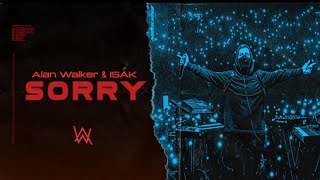 sorry - Alan Walker Letra en español (Leon 465 extra)