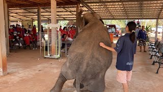 ฮือฮา⚠️สนั่น❗️ สุพรรษา~มาต้อนรับ…น้องๆนักเรียน