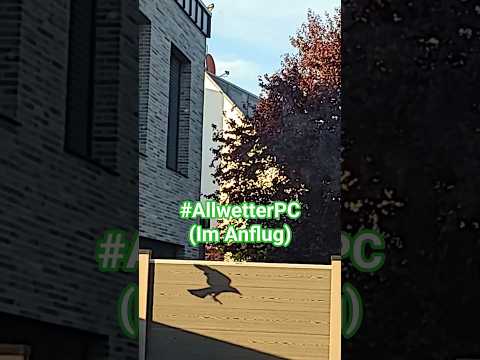 AllwetterPC - Neuer Sichtkontakt Teil 2