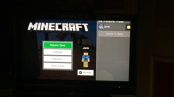 Pillager stronghold [the travelling trader #2]