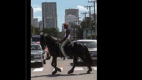 NES TETRIS 29 Start Maxout Lines PB