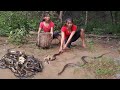 A lot snake in the rainforest, Catch snake for survival food - Snake soup spicy Eating delicious