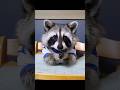 アライグマを助けたら…#動物 #動物のいる暮らし #ペット #ペットのいる暮らし#ペット動画 #癒し #アライグマ