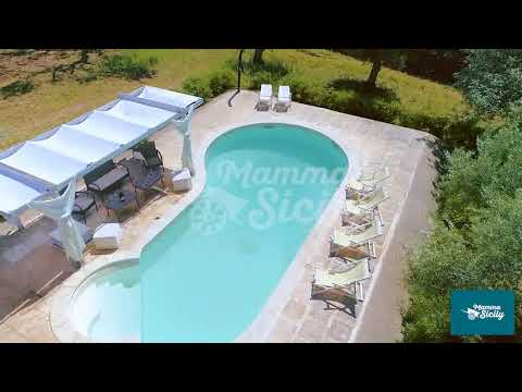 Video drone