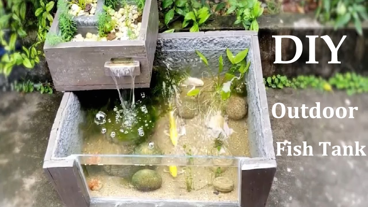 Backyard Aquarium Ideas – Can You Keep A Fish Tank Outside