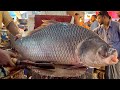 Amazing 15 kg giant katla fish cutting skills live in fish market  fish cutting skills