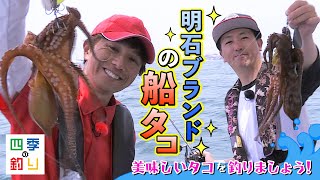 明石ブランドの船タコ 美味しいタコを釣りましょう！（四季の釣り/2023