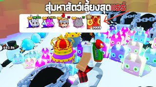 สุ่มหาตัวใหญ่ในไข่แห่งราชัน | Roblox Pet Simulator 99