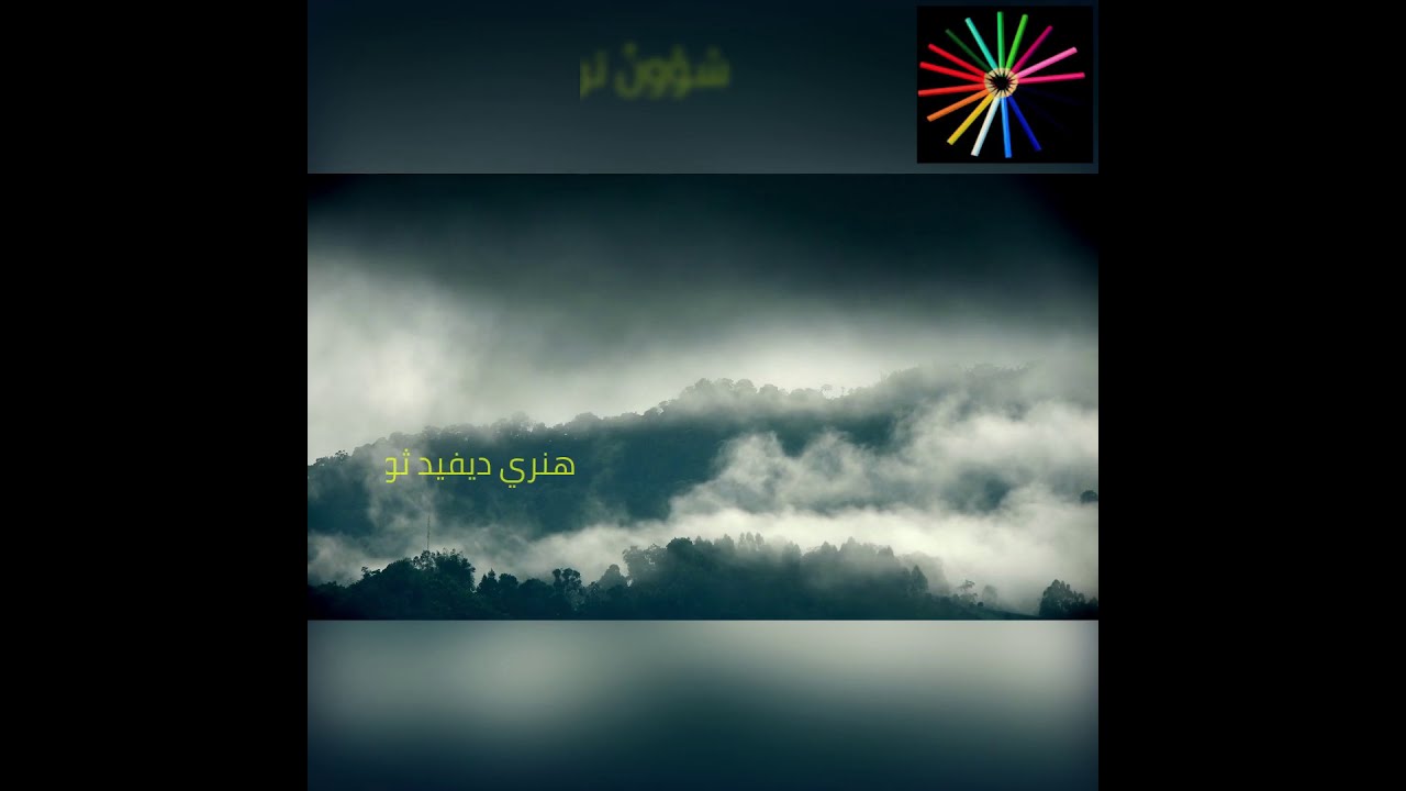 النجاح يحالف عادة من يسعى ويعمل بجد لأجله